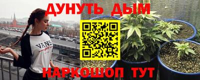 гидра Бийск