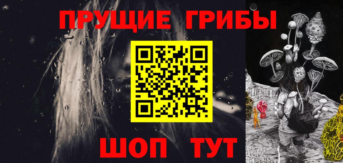 Галлюциногенные грибы Psilocybe Салехард